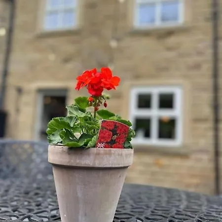 Olive Holiday Cottage Matlock Matlock  Exterior photo